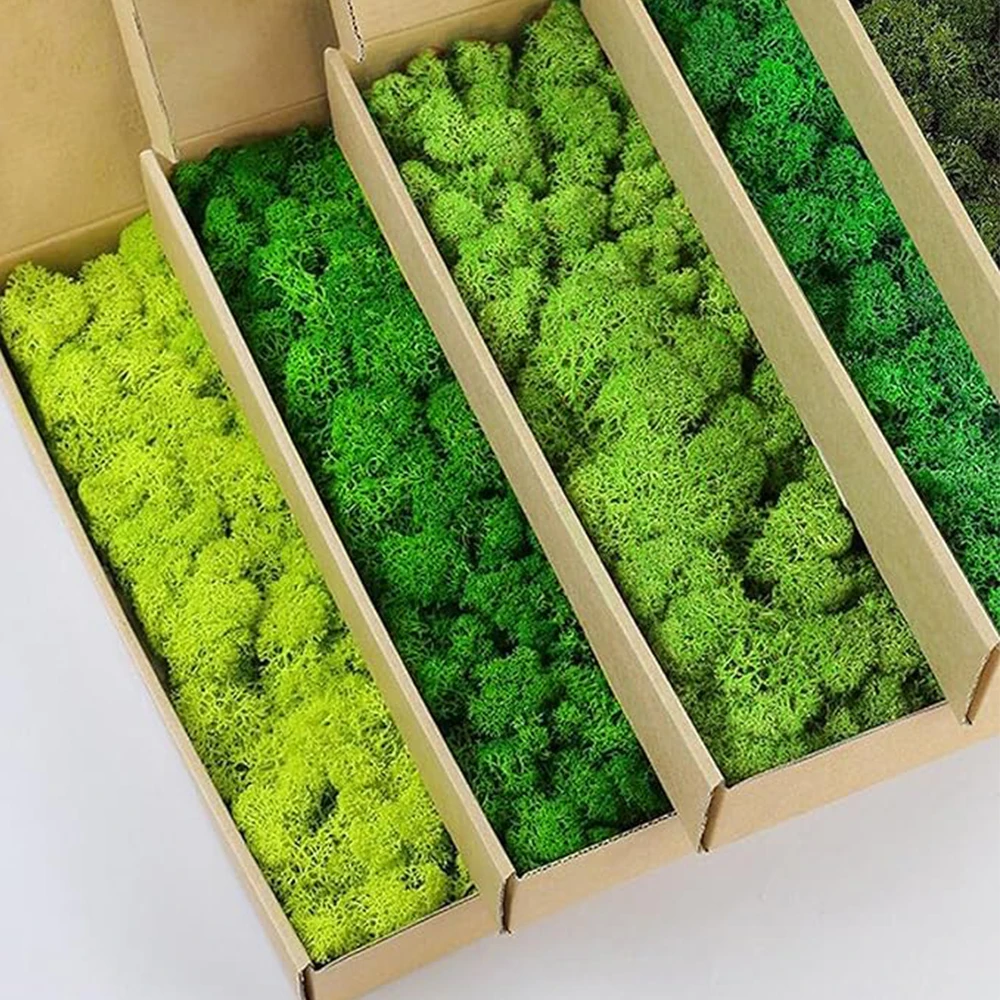 Terrarium Moss Art - 20-200g plantes vertes artificielles fausse herbe