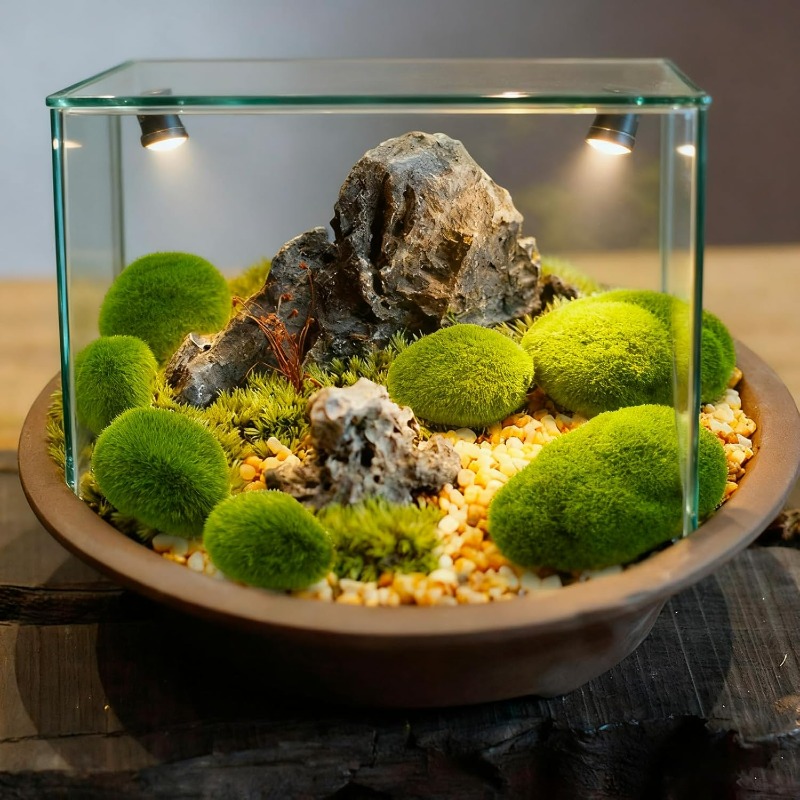 50/5 PIÈCES Pierres artificiel - Terrarium Moss Art avis et prix